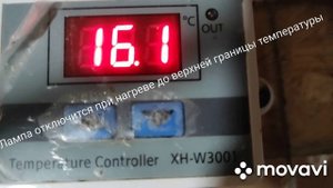 Стабильная температура +12 и влажность в курятнике даже в морозы -40.   Насест  для кур