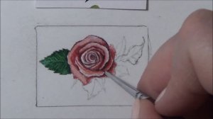 Розочка /АКВАРЕЛЬ!/"Цветок"/(watercolor rose)How to draw rose, aquarellее / speed drawing