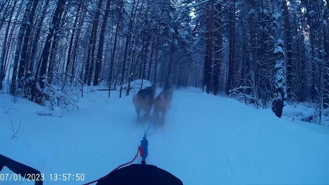 Екатеринбург 
оставь след