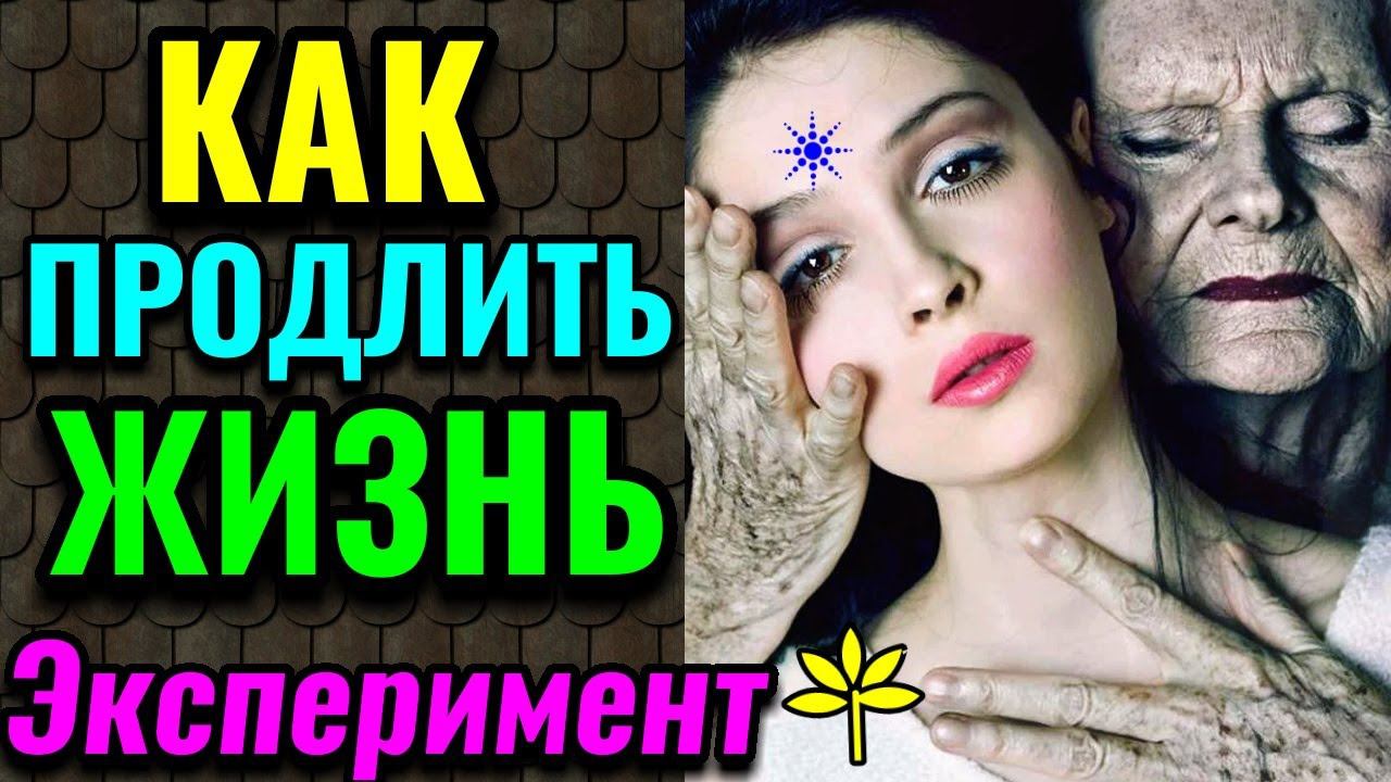 Как продлить жизнь и сохранить молодость, сократив калорийность / Как я похудела на 94 кг