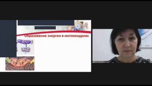 Что такое митохондрии и его функции?  Как восстановить работу митохондрий?