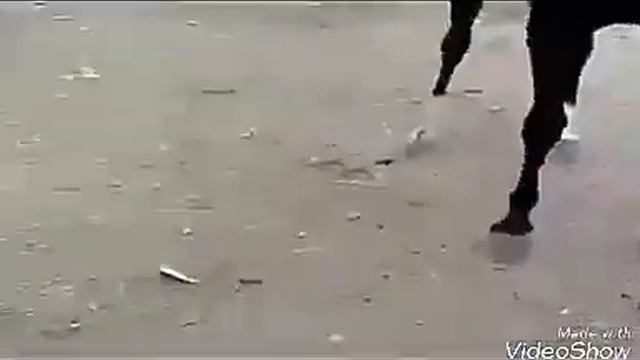 Бахталэ рома смотреть онлайн