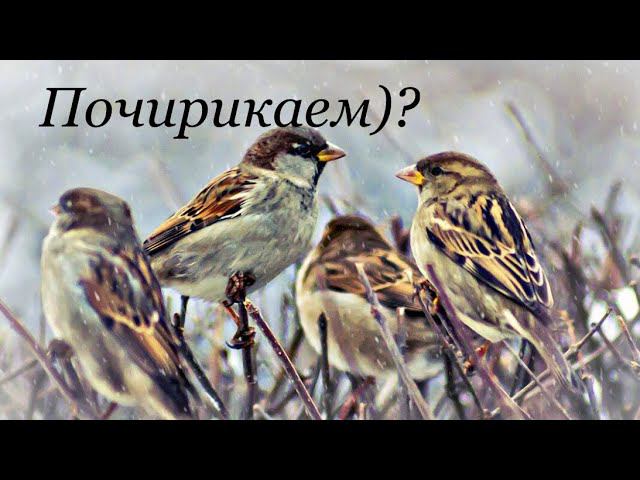 Почирикаем? Новинки ароматов, упаковка посылок ♂️ смотреть онлайн
