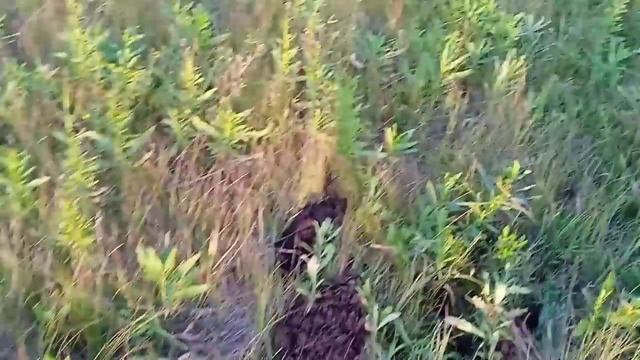 Металлокоп за деревней. Сдача металла. смотреть онлайн