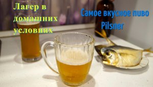 Варю лагерное пиво дома. Рецепт самого вкусного и необычного Пилснера