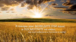 Ты, мой друг