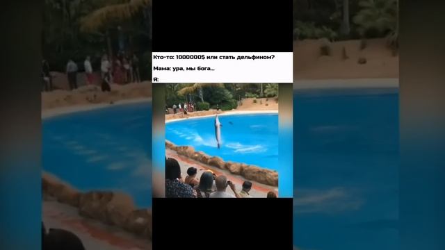 Когда друг дельфин ? смотреть онлайн