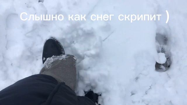 Зима в Краснодаре, да у нас бывает снег ! #краснодар #южная столица #краснодарский край #зиманаюге
