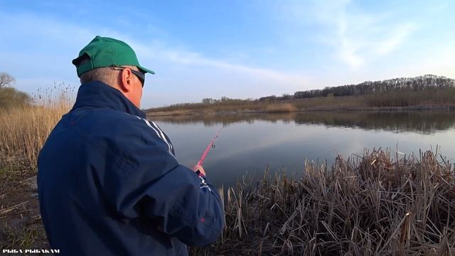 РЫБАЛКА. ТРОФЕЙНЫЙ СУДАК НА СИЛИКОН на Южном Буге. Моя новинка 2020. Ловля судака на спиннинг. смотреть онлайн