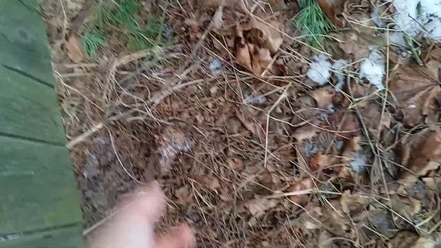 первый коп металла 2022. смотреть онлайн