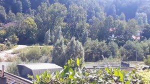 Бавария Природа Альпы Август 2020