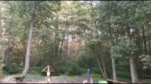 Путешествуем в Орловское Полесье.