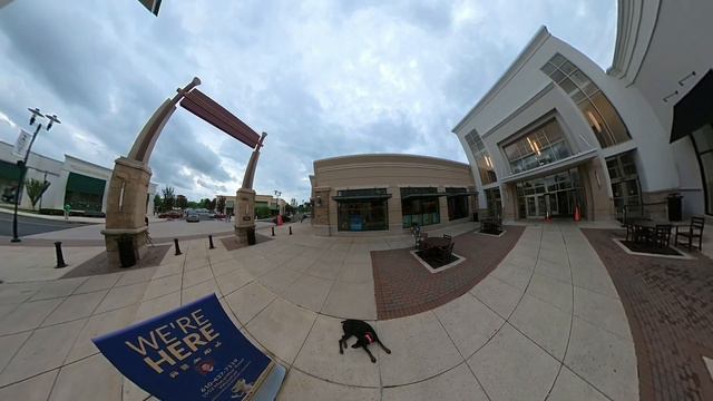 Best Doberman Trainer in Peckville ||| OLK9 Lehigh Valley ||| 1 Year Old Doberman, Harley Quinn смотреть онлайн