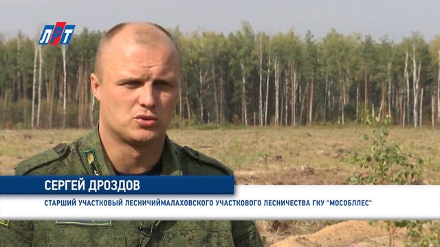 N_1508_26_01_Лесничий расскажет где будут сажать лес_1 смотреть онлайн