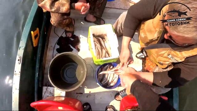 #ангара#хариус#рыбалка# часть 3 ОТМЕЧАЕМ ДЕНЬ РЫБАКА .ЛОВИМ КРУПНОГО ХАРИУСА .СОБИРАЕМСЯ ДОМОЙ смотреть онлайн