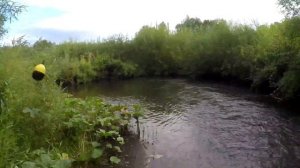 ЛОВЛЯ - РЫБАЛКА НА ХАРИУСА  2018г  ( ЧУТЬ СВЕТ - С ЖЕНОЙ ЗА ХАРИУСОМ, УТКУ КАМНЕМ , РЫБУ В КАН )