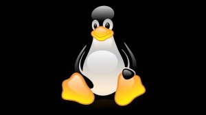 Linux с нуля до сертификата.
004 Навигация по системе