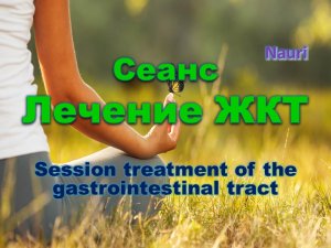 Сеанс лечение ЖКТ/Session treatment of the gastrointestinal tract