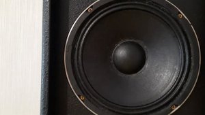 Динамик из линейного массива Eurosound AX - 1H PA - 850140B 8 дюймов 8 ом завершение