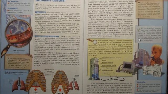 Биология (Л.Н.Сухорукова) 8к §29 Этапы дыхания. Легочные объёмы смотреть онлайн
