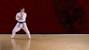 Tekki Sandan (SLOW) - Shotokan Karate kata JKA