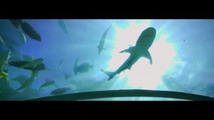 Conrad Maldives Rangali Island - Мальдивы