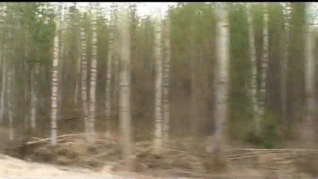 Программа По следам росомахи