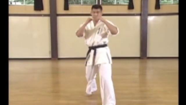 КУДО. Дайдо - Джуку каратэ. смотреть онлайн