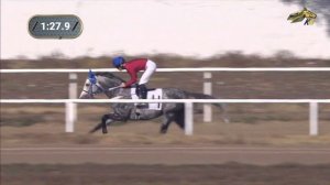 5-я Скачка. Приз Сравнения. Краснодарский ипподром. 15.10.2023