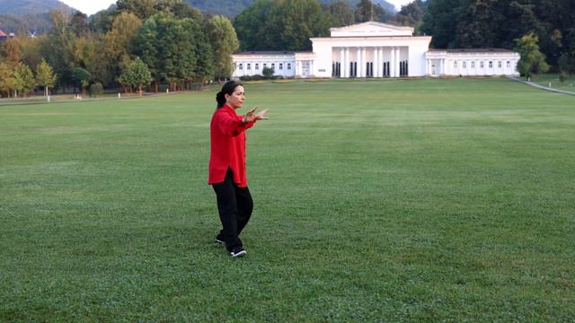 ROMANIA - Camelia Leta - WOMEN'S B GROUP - HAND FORM - SECOND PLACE смотреть онлайн