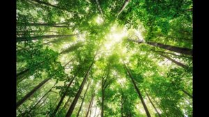 Эльдар Рязанов #Эльдар #Рязанов