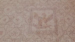 Кипр. Экскурсия в Пафос. Мозаики.