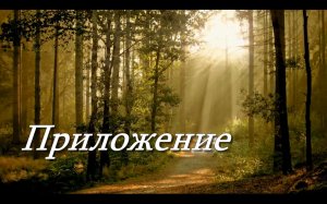 Приложение как вид определения. Понятие и разновидности по значению.