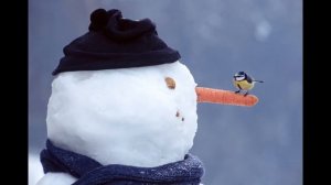 Снеговик.  Интересные факты про Снеговика