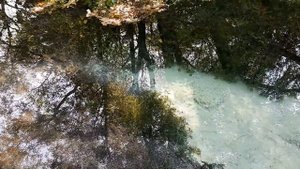 Утро на источнике в Щербинино. Городской округ "Ступино", Московская область.
