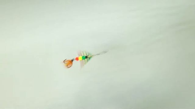 TIGA Поймает щуку даже против течения. смотреть онлайн