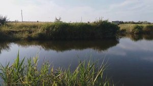 На что ловить в Бердянске на котловане(озере). Рыбалка в Бердянске 2019