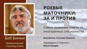 Стоит ли бояться роевых маточников (Боб Бинни, США)