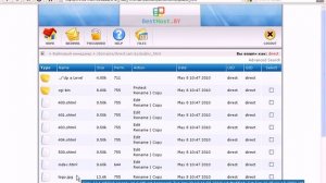 Файловый менеджер DirectAdmin