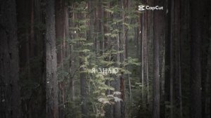 привет привет ты не спишь