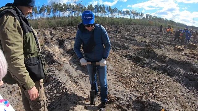 Сажаем лес, Киев, Боярка. смотреть онлайн