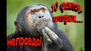 10 фактов, которые вы считали научно доказанными, а они оказались неправдой