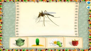 Занимательная Логика. Знакомство с Животными. Что едят Животные