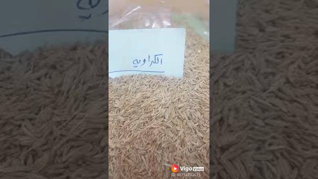 الكراويه