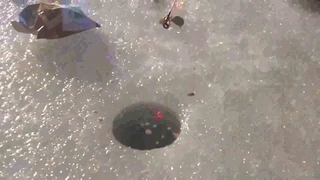 СМОТРЕТЬ ВСЕМ!!!РЫБАЛОЧКА ПРОСТО ОГОНЬ!!!НА СУХАРИ!!!ВОТ КАК НАДО РЫБУ ЛОВИТЬ смотреть онлайн