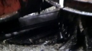 1987 год. Нижневартовск. Работа Леспромхоза.