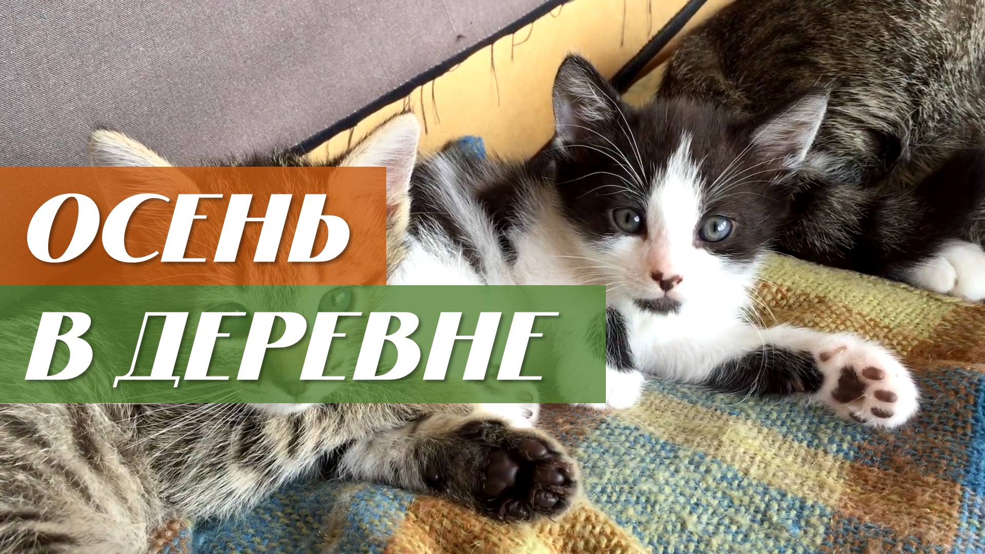 Осень в деревне смотреть онлайн