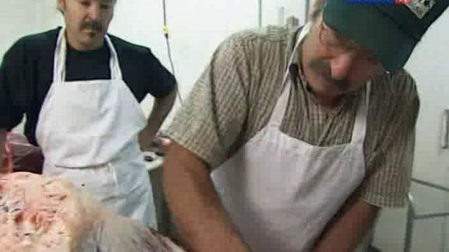 Происхождение человека