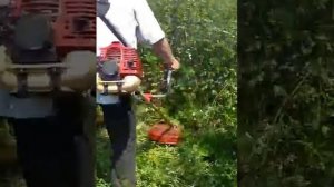 Как косить бензокосой бурьян, высокую траву