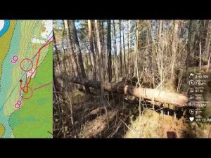 Спортивное ориентирование (headcam orienteering) - Венок Славы А. Невского 2022, средняя - 17.04.22